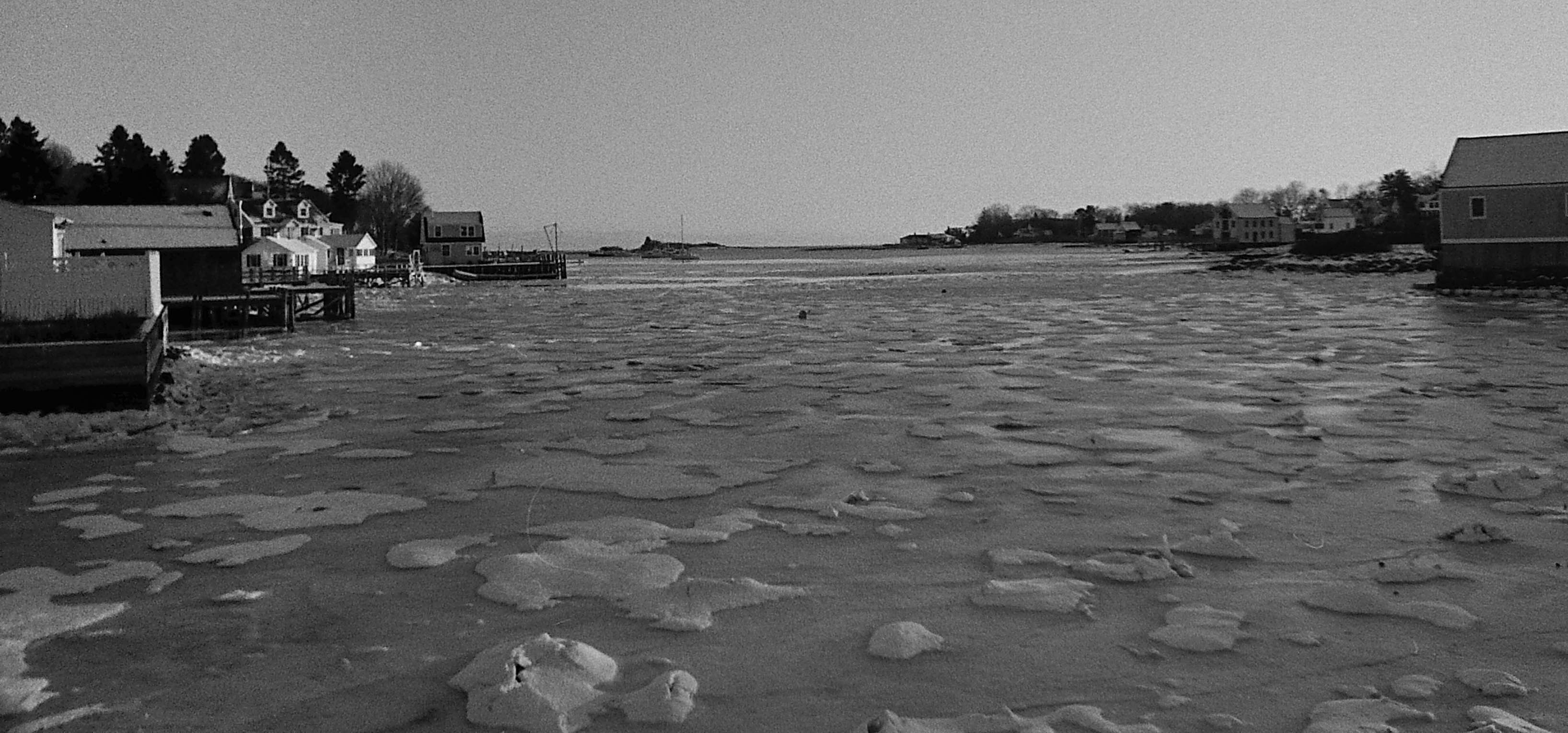 Icy Harbor